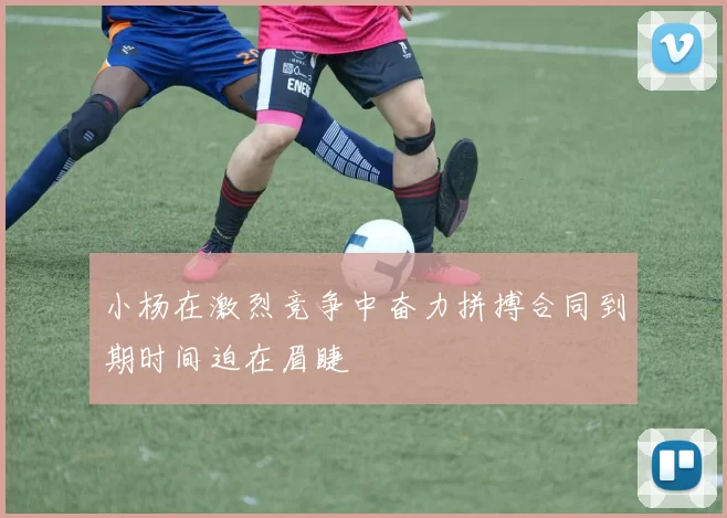 小杨在激烈竞争中奋力拼搏合同到期时间迫在眉睫
