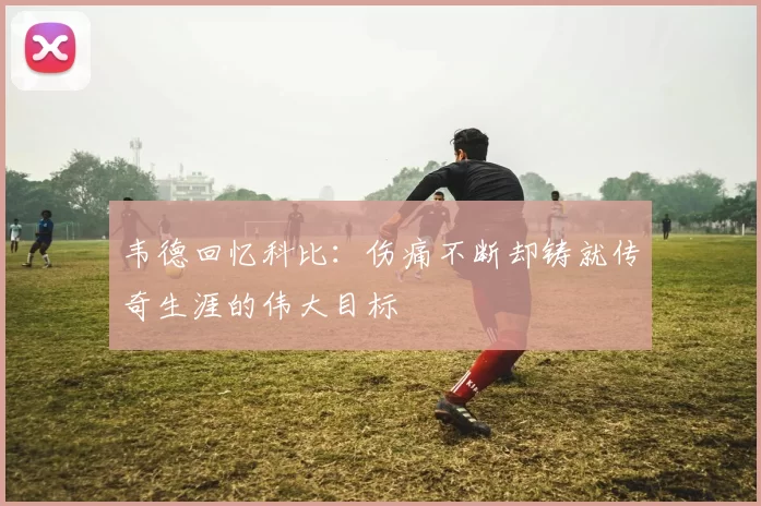 韦德回忆科比：伤痛不断却铸就传奇生涯的伟大目标